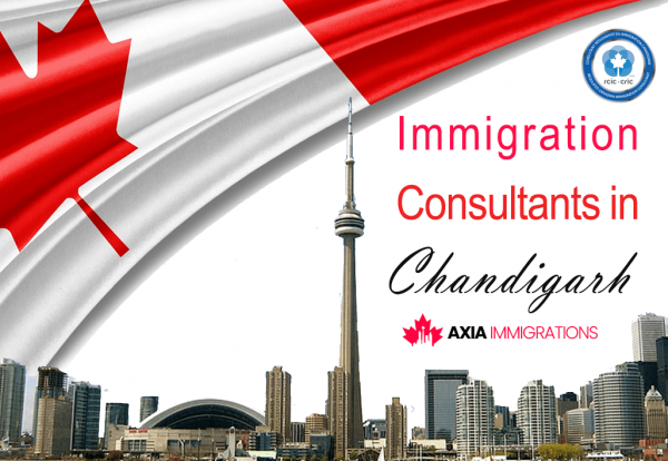 Immigration Consultants in Chandigarh