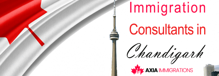 Immigration Consultants in Chandigarh